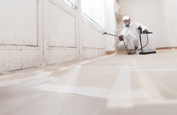 24/7 Emergency Black Mold Remediation experts in Atlanta, GA