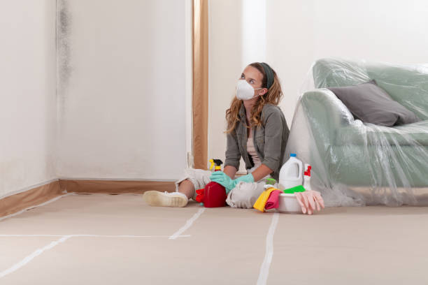 Reliable Black Mold Remediation contractor in Atlanta, GA by 24 Hour Mold Removal